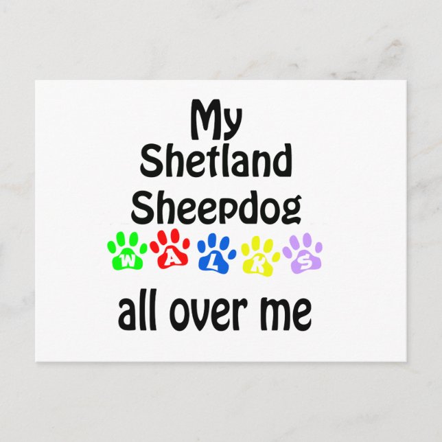 Cartão Postal Shetland Sheepdog Walks Design (Frente)