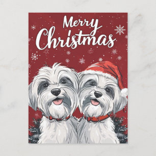 Cartão Postal Shi Tzu Felry Christmas