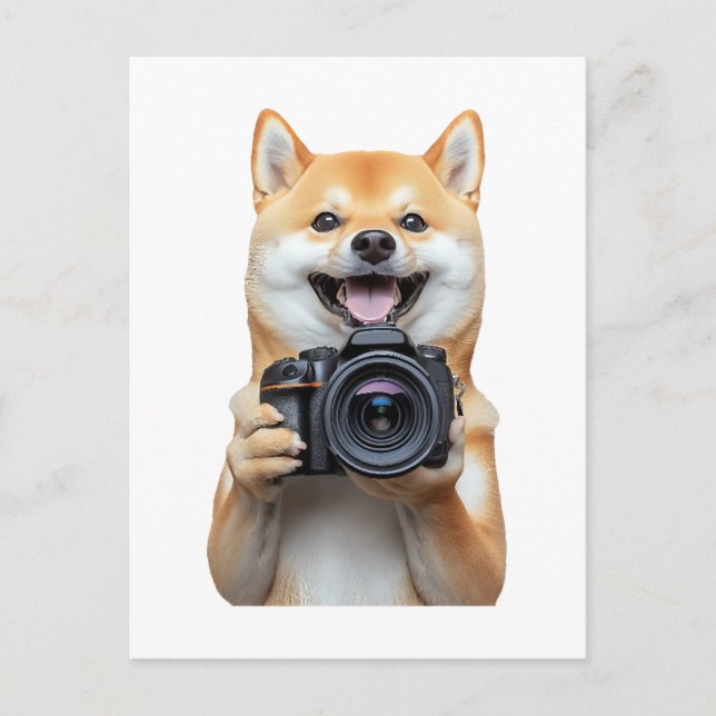 Cartão Postal Shiba Inu     (Frente)