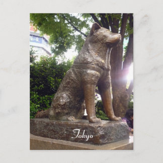 Cartão Postal shibuya hachiko