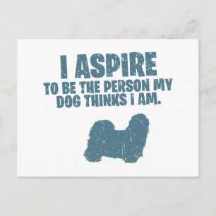 Cartão Postal Shih Tzu