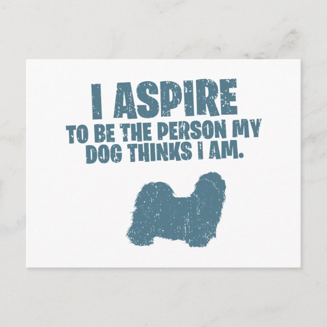 Cartão Postal Shih Tzu (Frente)