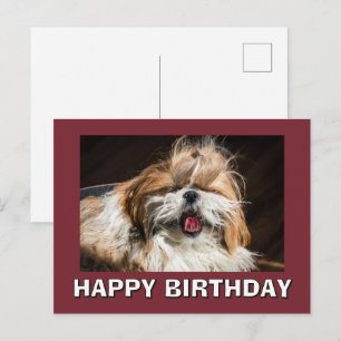 Cartão Postal Shih tzu bocejando língua engraçado fofo Feliz ani