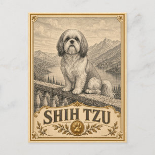 Cartão Postal Shih Tzu, Cachorro de Herança Vintage