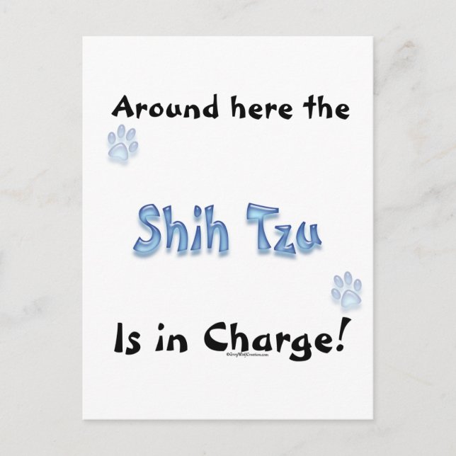 Cartão Postal Shih Tzu Charge (Frente)