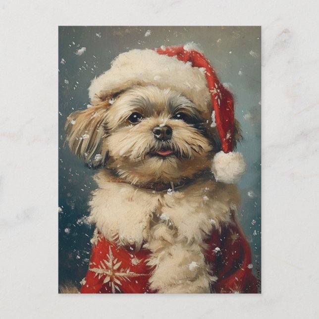 Cartão Postal Shih Tzu Christmas (Frente)