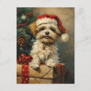 Cartão Postal Shih Tzu Christmas