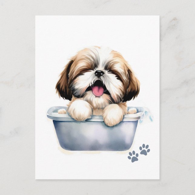 Cartão Postal Shih Tzu Dog (Frente)