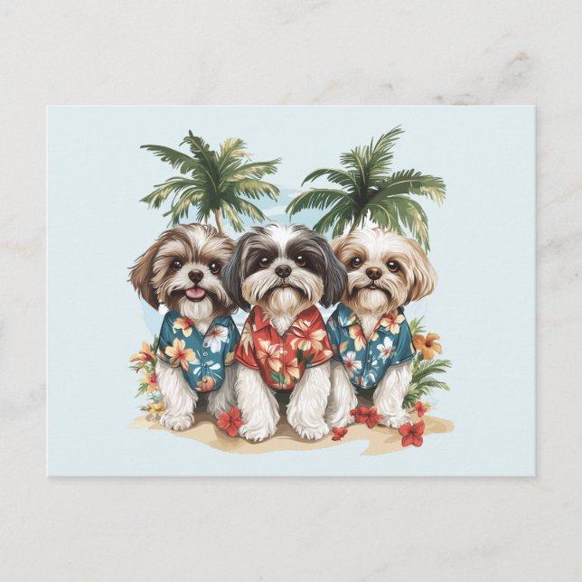Cartão Postal Shih Tzu Dogs Vestindo camisas havaianas (Frente)