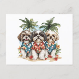 Cartão Postal Shih Tzu Dogs Vestindo camisas havaianas
