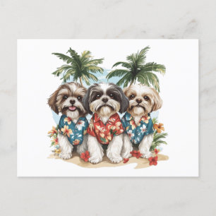 Cartão Postal Shih Tzu Dogs Vestindo camisas havaianas