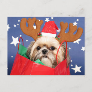 Cartão Postal Shih Tzu em um saco de compras vermelho