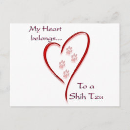 Cartão Postal Shih Tzu Heart Pertence