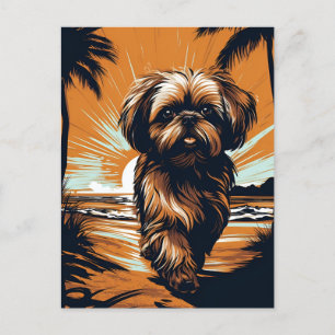 Cartão Postal Shih-tzu na praia