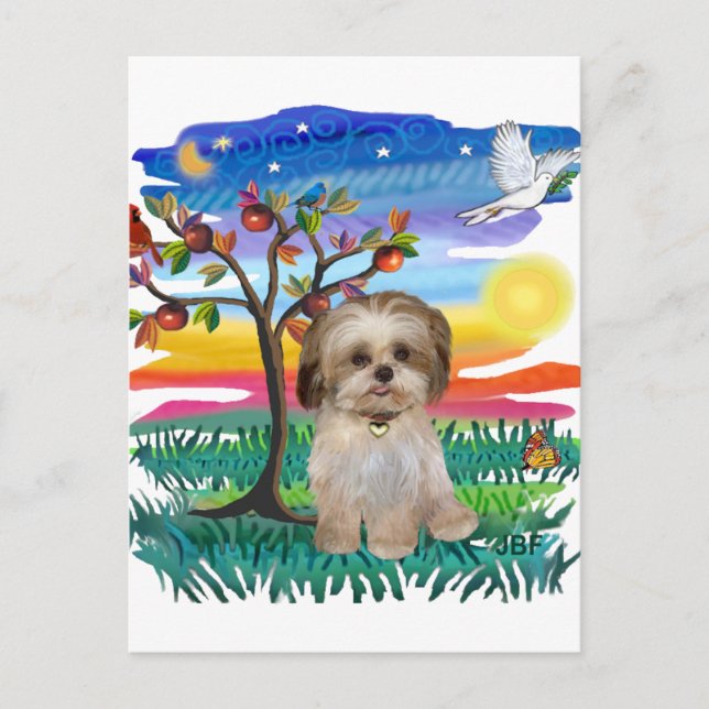 Cartão Postal Shih Tzu Pup #2 (Frente)