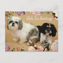 Cartão Postal Shih Tzu Saudações