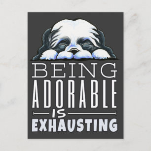 Cartão Postal Shih Tzu Sendo Adorável