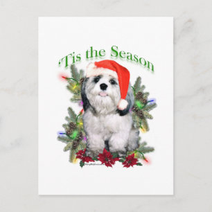 Cartão Postal Shih Tzu 'Tis the Season
