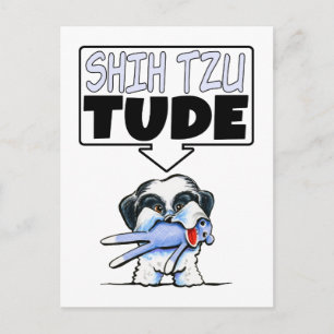 Cartão Postal Shih Tzu Tude
