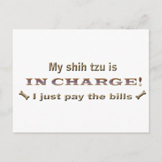 Cartão Postal shihtzu