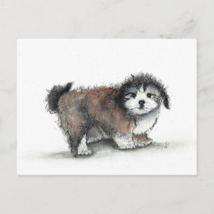Cartão Postal Shihtzu Puppy Dog, Pet