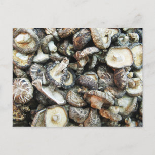 Cartão Postal Shiitake Mushroom