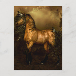 Cartão Postal Shikoba Cavalo Nativo Americano