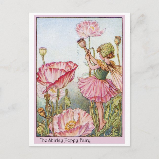 Cartão Postal Shirley Poppy Fairy (Frente)