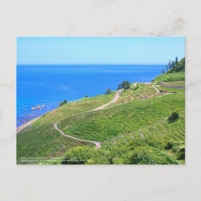 Cartão Postal Shiroyone Senmaida Terraced Rice Fields:Cartão pos (Frente)