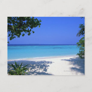 Cartão Postal Shore 13