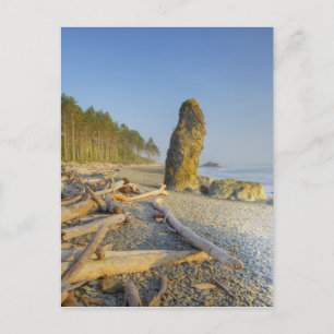 Cartão Postal Shoreline e Seastacks, Ruby Beach, Olimpiadas