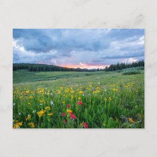 Cartão Postal Shrine Pass Road, Red Cliff, Estados Unidos