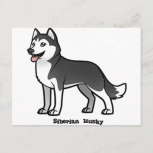 Cartão Postal Siberian Husky