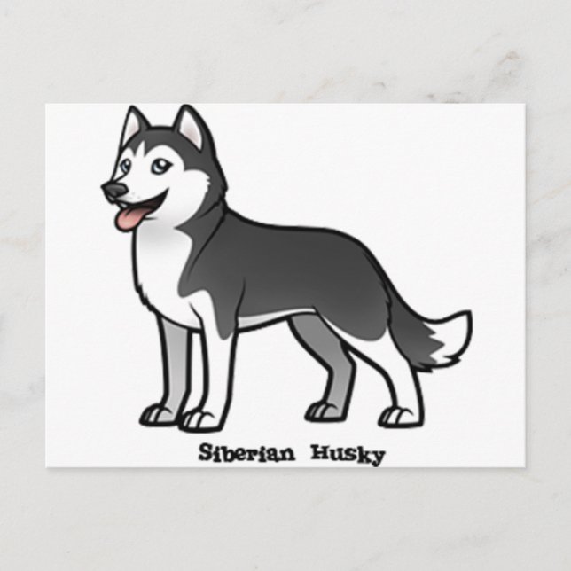 Cartão Postal Siberian Husky (Frente)