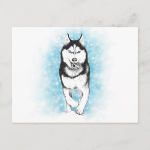 Cartão Postal Siberian Husky