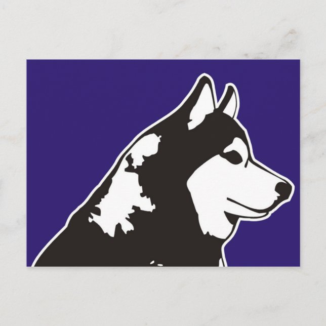 Cartão Postal Siberian Husky (Frente)