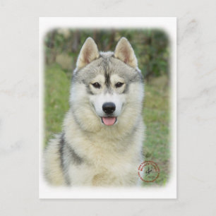 Cartão Postal Siberian Husky 9L69D-14