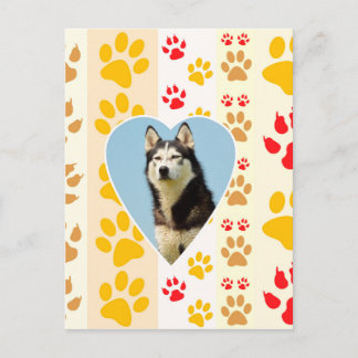 Cartão Postal Siberian Husky Dog Heart Paws Impressão