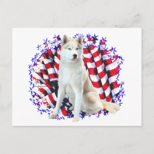 Cartão Postal Siberian Husky Patriot