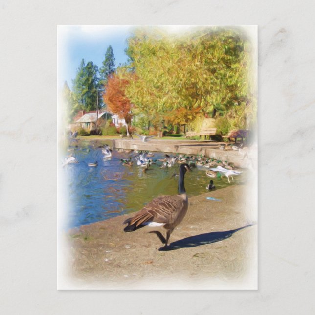 Cartão Postal Siga-me (Frente)