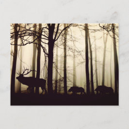 Cartão Postal Siga o líder