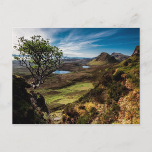 Cartão Postal Siga os seus sonhos!