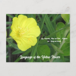 Cartão Postal Significado do Cartão-Postal Amarelo