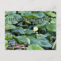 Silêncio Lilyshade