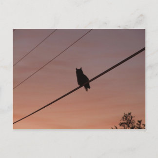 Cartão Postal Silhouette Beauty