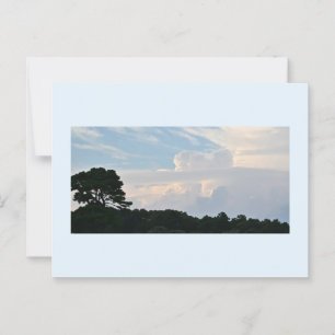 Cartão Postal Silhouette de Árvore com Cartão-Postal de Nuvens