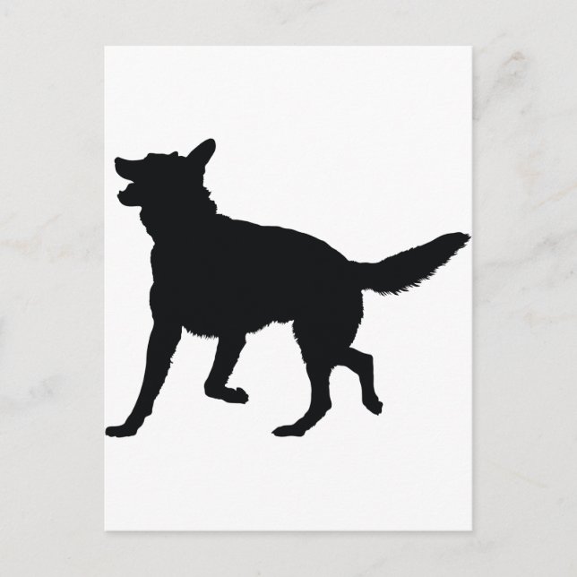 Cartão Postal Silhouette german shepherd (Frente)