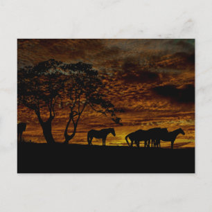 Cartão Postal Silhouette Sunrise
