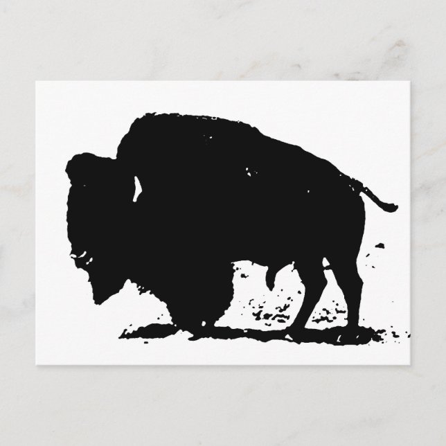 Cartão Postal Silhoute de Buffalo Preto e Branco (Frente)