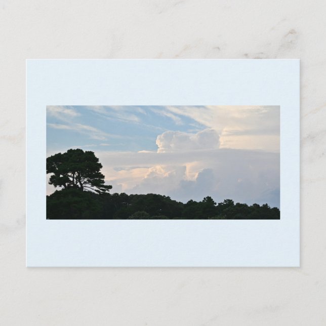 Cartão Postal Silhueta de Árvore com Nuvens (Frente)